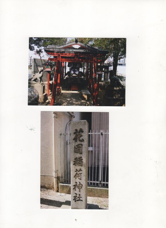 img354.jpg